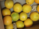京鲜生 钦蜜9号黄金百香果 3斤单果60g+/21-27个  生鲜水果 源头直发 实拍图