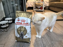 皇家猫粮 英短成猫粮 BS34 通用粮 12月以上 2KG 实拍图