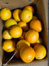 玖原农珍 赣南脐橙当季现摘橙子净重9斤优选果单果150-220g 新鲜水果礼盒 实拍图