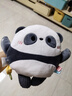 澳贝（auby）婴幼儿玩具熊猫团团安抚玩偶可入口水巾哄睡+牙胶啃咬A类面料 实拍图