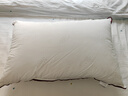 水星家纺枕头枕芯酒店枕头护颈枕头芯家用一对纯棉抗菌可水洗中枕48x74cm 实拍图