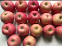 京鲜生 山东烟台红富士苹果 9斤装单果80-85mm 生鲜水果 源头直发 实拍图