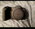 佳能（Canon）EOS R8 全画幅微单数码相机 RF24-50镜头套装（约2420万像素/小型轻量） 实拍图