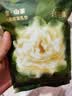 babycare防溢乳垫孕妇产后一次性防溢乳贴3D贴合超薄透气哺乳期隔奶垫 8片装 山茶花款试用装 实拍图