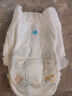 帮宝适[会员专享试用装]清新帮拉拉裤尿不湿尿片 超薄透气XL4 实拍图