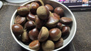 丹东新鲜板栗生栗子当季5斤现摘毛油栗子嫩板栗锥栗整箱生鲜蔬 5斤 【严选大果】净重4.5斤 实拍图