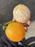 京鲜生 江西赣南脐橙 净重10斤 铂金果 单果180g起 生鲜水果橙子礼盒 实拍图