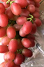 京鲜生 克伦生红提 葡萄 2斤装 生鲜水果 克瑞森 酸甜口感 实拍图