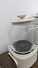 美的（Midea）花漾0胶水全玻璃全自动养生壶 多功能煮茶壶 母婴烧水壶恒温电热水壶煮茶器花茶壶1.2L YS12B102 实拍图
