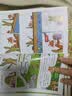 狐狸和兔子?全3册?【6-9岁】 神仙友谊 贝丝费里著 实拍图