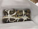 【活蟹】湖塘煙雨 阳澄湖大闸蟹鲜活螃蟹公5两母4两4对8只河蟹生鲜水产礼盒源头直发 实拍图