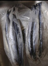 卖鱼七郎大号秋刀鱼2斤 新鲜海捕鲜活冷冻日料生鲜烧烤食材海鲜鱼类 实拍图