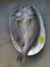 仙泉湖三去白蕉海鲈鱼 400g/条净膛冷冻刺少肉厚特产食材生鲜水产 实拍图
