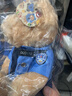 范缇思警察小熊公仔毛绒玩偶公安消防警熊女生日泰迪熊儿童520节日礼物 公安熊 坐高27CM 实拍图