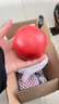 【超市精选】山东沙瓤水果西红柿新鲜番茄蔬菜减肥单果100g起 西红柿中大果 2斤 带箱 实拍图