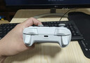 飞智冰原狼4多模版无线游戏手柄 类xbox 力调节摇杆双切扳机 switch电脑PC手机steam体感NS 丝之歌 实拍图