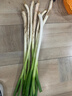 农家自种精品山东大葱特级新鲜铁杆长白葱农家毛葱香葱现挖便宜 山东大葱（带老皮）带箱 1斤 实拍图