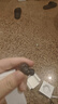 弱水时砂【重磅新品】琉璃Ultra无线蓝牙耳机琉璃X升级款入耳运动耳机抗风噪主动降噪HiFi音质超长续航学生 【静谧套装】墨云黑+降噪耳塞套 实拍图