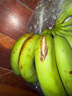 高山香蕉广西产地直发薄皮青果软糯香甜自然熟当季新鲜采摘纯天然 高山香蕉净重9斤 实拍图