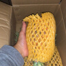 京鲜生 海南金钻凤梨 净重4.5斤单果650g手撕菠萝新鲜水果生鲜 源头直发 实拍图
