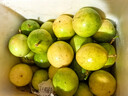 黄六爷正宗广西黄金百香果黄金钦蜜9号百香果新鲜当季水果旗舰包邮大果3 5斤大果（约25-35枚）限时冲量 实拍图