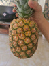 佳农 黑钻菠萝1粒装 菲律宾凤梨 净重2斤起 生鲜水果 源头直发 包邮 实拍图