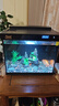 森森金麟超白玻璃鱼缸一体缸自循小型懒人家用水族箱LE-300 实拍图