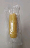 十月稻田 黄糯玉米 3.52斤(220g*8根) 25年新玉米 低脂粗粮 早餐 联名款 实拍图