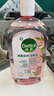 滴露（Dettol）洗手液抑菌滋润450g*2+松木450g*2儿童家庭补充装消毒温和护手 实拍图