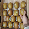 佳沛（zespri）新西兰阳光金奇异果 8个装 特大果单果重约122-146g 水果猕猴桃 实拍图