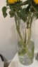 京东鲜花花瓶摆件防摔大号亚克力透明醒花桶落地插花富贵竹马醉木水养鲜花 实拍图