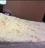 无印良品三件套旅行一次性床单被套罩枕套加厚酒店床上用品单人款-郁金香 实拍图