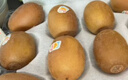 佳沛（zespri）新西兰  阳光金奇异果10粒礼盒巨大果单果约144-175g 水果 猕猴桃 实拍图