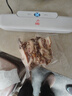 京冇真空压缩封口机真空密封机全自动抽真空包装一体机家用大吸力食品真空机塑封机干湿两用保鲜打包机 实拍图
