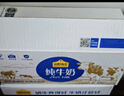 认养一头牛纯牛奶250ml*15盒 学生早餐纯奶整箱一提装/新老包装混发 实拍图