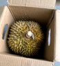京鲜生 进口金枕头榴莲 净重4-5斤 1个装  鲜果 生鲜 新鲜水果 实拍图