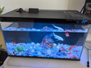 米家（MIJIA）小米米家智能生态鱼缸还原自然生态补仓一次三月无忧出差旅行必备 实拍图