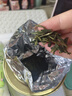八马茶业 2025新茶春茶 浙江越州龙井 绿茶 茶叶自己喝 送礼 【口粮爆款】罐装50g 实拍图