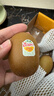 佳沛（zespri）新西兰  阳光金奇异果16粒礼盒经典果单果约 77-103g 水果 猕猴桃 实拍图