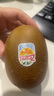 佳沛（zespri）新西兰阳光金果6个装巨大果单果144-175g水果猕猴桃源头直发 实拍图