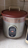九阳（Joyoung）电炖锅电炖盅电砂锅炖汤盅煲汤锅多功能锅紫砂锅燕窝炖盅煮粥锅直炖4L大容量 可预约保温GD410 实拍图