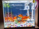 森森 超白玻璃智能鱼缸一体缸自循环家用水族箱HE-300 实拍图