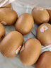 佳沛（zespri）新西兰 阳光金奇异果12粒礼盒特大果单果约122-146g 猕猴桃 水果 实拍图