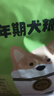 馋不腻低脂狗粮肥胖成犬狗粮易消化胰腺炎全犬大小型犬狗粮通用型2.5kg 实拍图