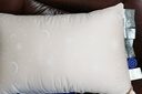 安睡宝（SOMERELLE） 进口七孔纤维枕头全棉A类抗菌酒店护颈椎枕芯睡眠枕靠枕可水洗 进口七孔少儿枕+枕套35x60 单只 一只装 实拍图