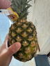 佳农 菲律宾进口菠萝 2个装 凤梨 单果净重2斤 生鲜水果源头直发 包邮 实拍图