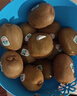 佳沛（zespri）绿奇异果 优选大果12粒单果约113-135g  水果 猕猴桃 实拍图