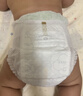 babycare金山茶花拉拉裤XL34片(12-17kg)婴儿尿不湿超薄透气新生柔花苞裤 实拍图
