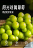 京鲜生 阳光玫瑰葡萄 青提2-2.5斤装 单果约10g 生鲜水果 实拍图