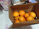 江西赣南早脐橙整箱当季新鲜早橙子榨汁水果礼盒皮薄多汁节日团购 【30%人选】净重4.5斤单个160g+ 实拍图